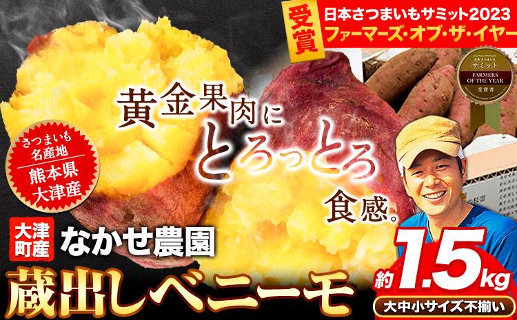 芋 熊本 県 大津 町産 なかせ 農園の蔵出しベニーモ 選べる 約 1.5kg (大中小サイズ不揃い)《1-5日以内に出荷(土日祝除く)》 さつま いも さつま芋 芋 紅 はるか スイート ポテト 干し芋にも 特産品 SDGs 中瀬農園---fn_nksimo_s_r7_4000_1500g---