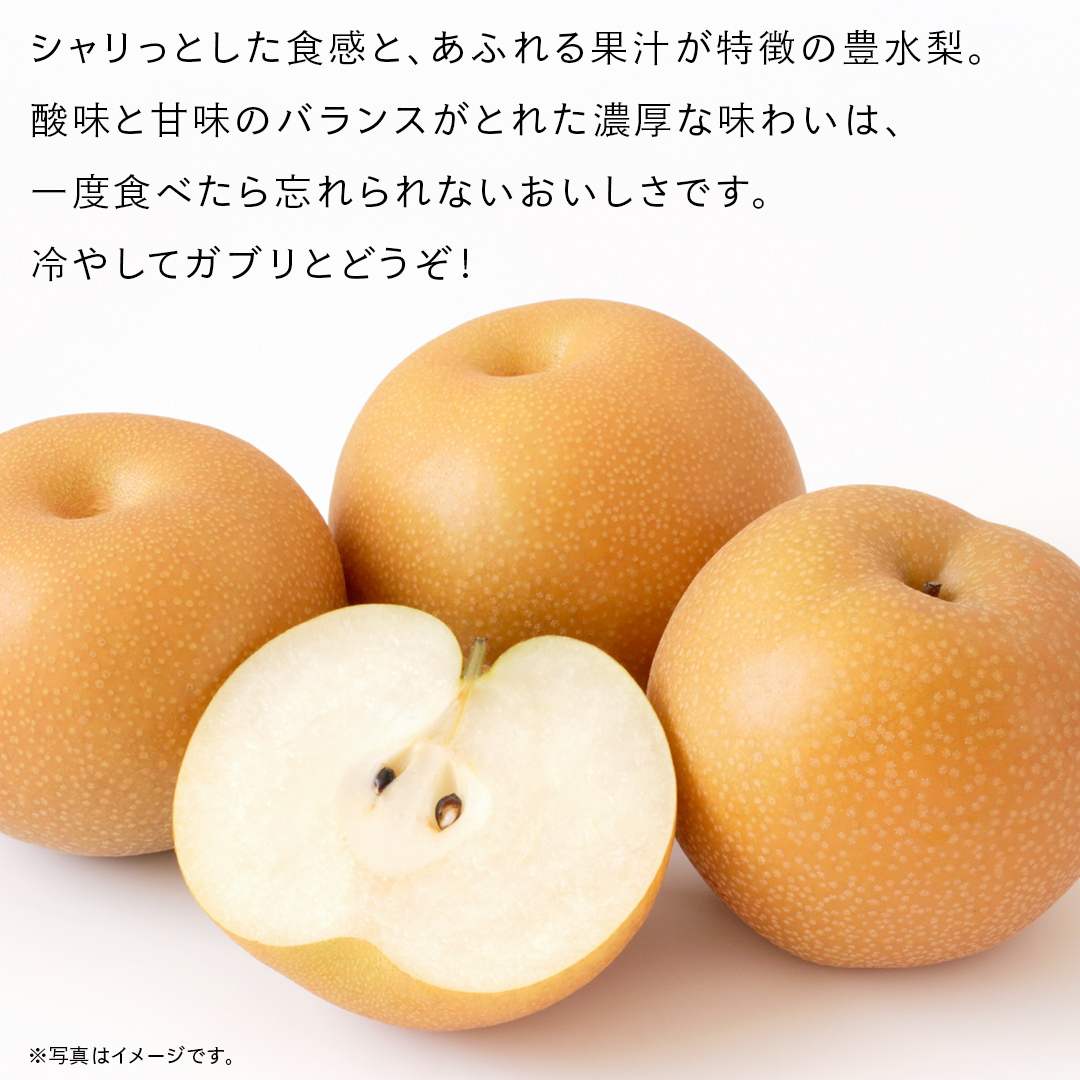 豊水 梨 5kg （8〜12玉）【2026年9月より発送開始】（茨城県共通返礼品 [梨]：大子町産） なし 旬 お取り寄せ フルーツ 甘い ジューシー 和梨 時期 [FC05-NT]_イメージ2