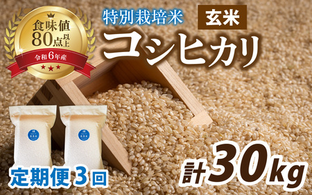 【先行予約】【3ヶ月連続お届け】【令和7年産新米】南条米 特別栽培米コシヒカリ 真空パック 玄米 10kg(5kg×2袋)×3ヶ月 (計30kg)[J-011001] 福井 甘味