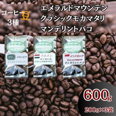 ふるさと納税 伊勢原市 コーヒー豆3袋(エメラルドマウンテン/クラシックモカマタリ/マンデリントバコ)
