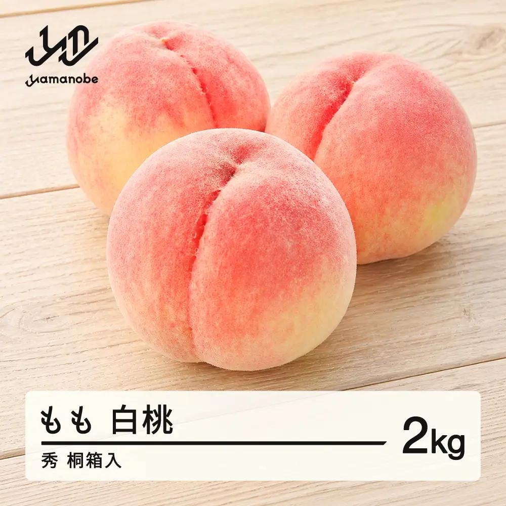【先行予約】白桃 秀 桐箱入 もも 桃 品種おまかせ 約2kg 令和8年産 2026年産 果物 ※沖縄・離島への配送不可 mm-moomk2000