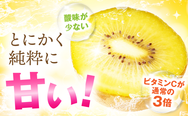 訳ありご家庭用さぬきゴールドキウイ約1kg【香川県共通返礼品】 | 果物 フルーツ さぬきゴールド キウイ キウイフルーツ フレッシュ ジューシー 香り 爽やか 旬の果物 人気 おすすめ 贈答 贈り物