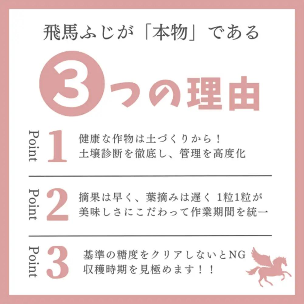 りんご 糖度14度以上 飛馬ふじ（サンふじ）約 2.5kg【12月～発送】りんご