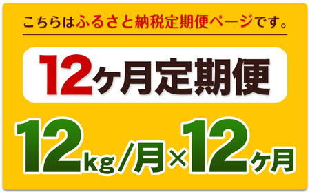 令和6年産新米 【12ヵ月定期便】 無洗米 ひのひかり 定期便 12kg 6kg×2袋《お申込み翌月から出荷開始》 熊本県産 精米 ひの 米 こめ ヒノヒカリ コメ お米