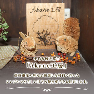 【オンライン決済限定 】 おまかせ焼き菓子10種セット 先行予約：2025年 10月より発送 焼菓子 焼き菓子