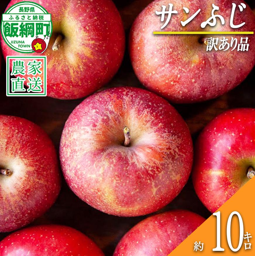 りんご サンふじ 訳あり 10kg 松澤農園 沖縄県への配送不可 2026年11月下旬頃から2027年2月下旬頃まで順次発送予定 令和8年度収穫分 長野県 飯綱町 [0503]