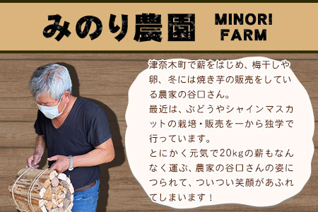 スウェーデントーチと乾燥薪セット《30日以内に順次出荷(土日祝除く)》熊本県 葦北郡 津奈木町 みのり農園 送料無料