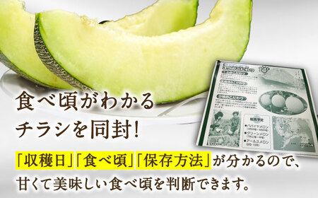 【2026年7月上旬-発送】【平成新山メロンPREMIUM（とみちゃん厳選）】グリーンメロン 1玉 / メロン めろん 青肉 糖度 果物 くだもの フルーツ ふるーつ 旬 高級 ギフト / 南島原市 