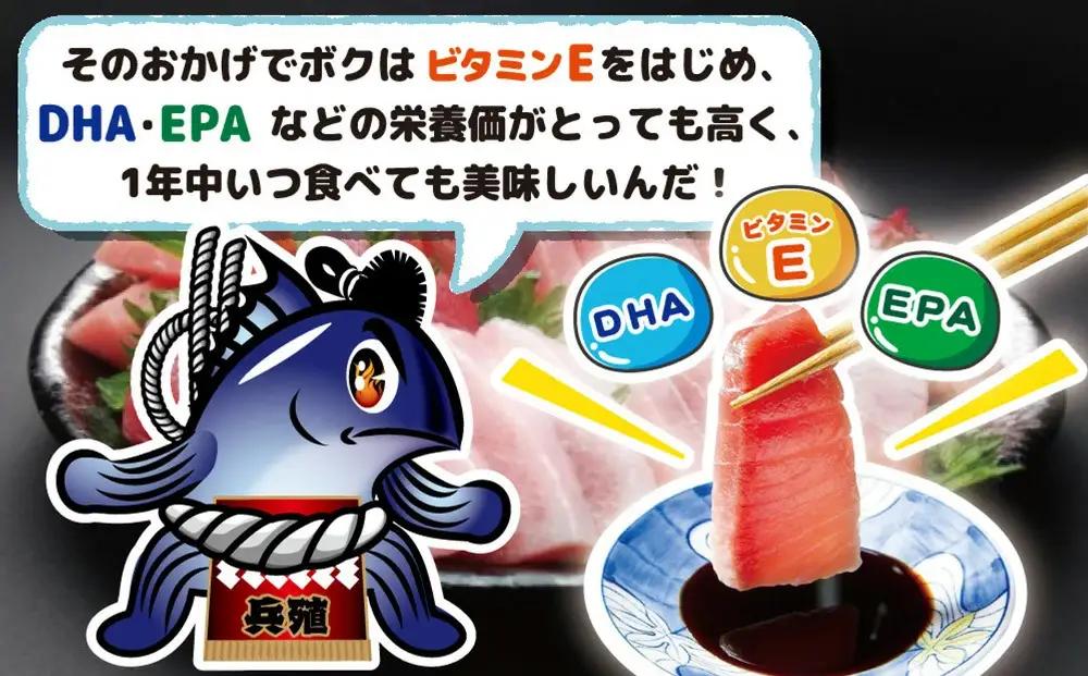 まぐろ 豊後マグロ ヨコヅーナ 1本分セット