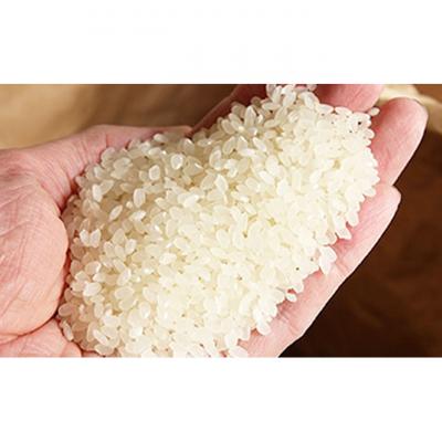 ふるさと納税 新潟市 コシヒカリブレンド5kg 精米[54071690] |  | 03