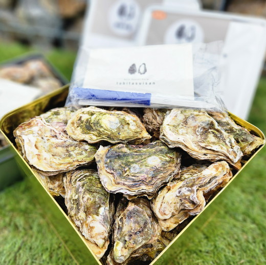 飛田水産　石川県七尾産　能登かき　殻付き一斗缶｜牡蠣　専用ナイフ 牡蠣 かき カキ 能登の里山里海 石川県七尾市 能登半島 ※要加熱 ※2026年1月上旬～5月下旬頃に順次発送予定 ※北海道・沖縄・離