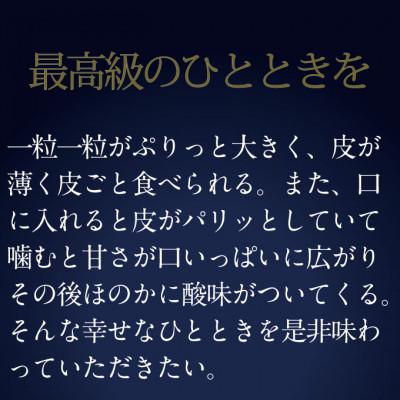 ふるさと納税 浅口市 【発送月固定定期便】HS/2026年先行予約9月/10月2回発送最高級品晴王2房約1.4kg全2回 |  | 02