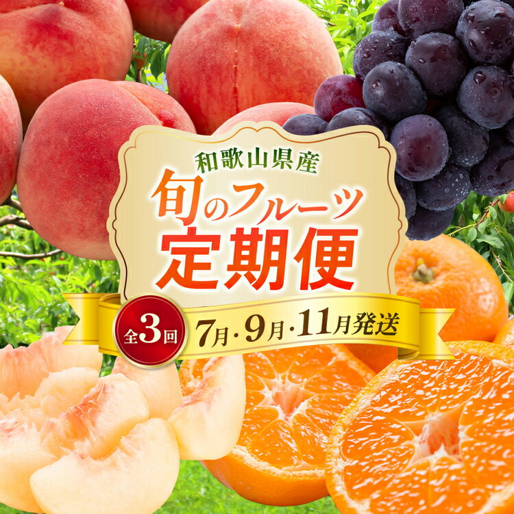 【ふるさと納税】〈定期便〉【7・9・11月 全3回】産直・和歌山フルーツ（桃・ピオーネ・有田みかん）｜フルーツ ふるーつ 果物 くだもの 詰め合わせ 果物定期便 夏 秋※北海道・沖縄・離島への配送不可