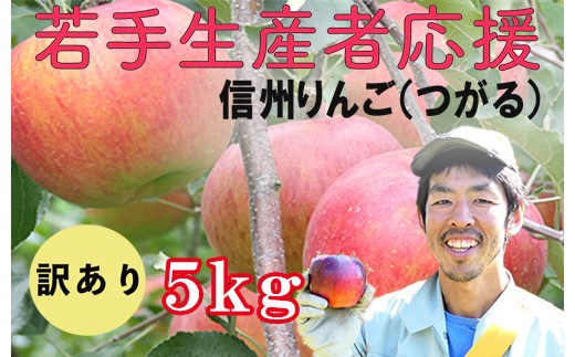 若手生産者応援 りんご （サンつがる） 訳あり 5㎏ 数量限定 先行予約 川上啓介 果物 フルーツ 家庭用 長野県 麻績村 麻績 信州 規格外 家庭用 産地直送 聖耕園 自宅用 8月 下旬 9月 上旬 2026年収穫分 先行予約 予約