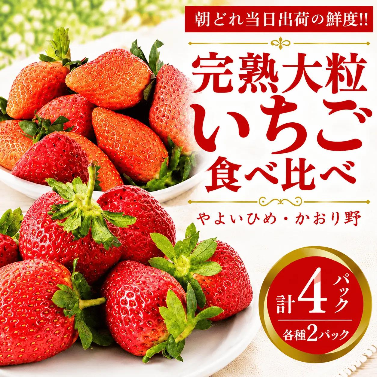 いちご 食べ比べ セット 4パック かおり野 ・ やよいひめ 