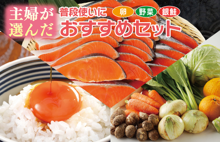 099S015 主婦が選んだ 普段使いにおすすめセット（銀鮭 切り身 たまご 野菜）