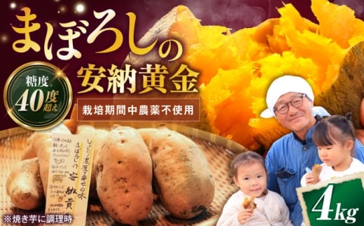 【厳選】熟成安納黄金 4kg 滋賀県長浜市/好作豊吉 [AQCF010]