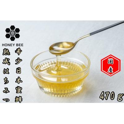 ふるさと納税 小川村 国産日本ミツバチ熟成はちみつ　百花蜂蜜470g*420