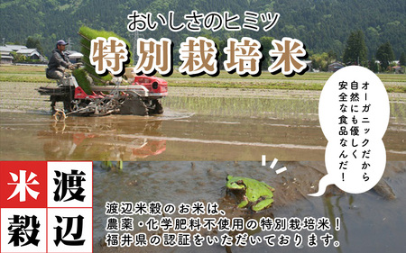 令和7年産 特別栽培米 コシヒカリ匠 4kg（2kg×2袋） 節減対象農薬当地比5割減【玄米】お米 コシヒカリ [A-2992_02]