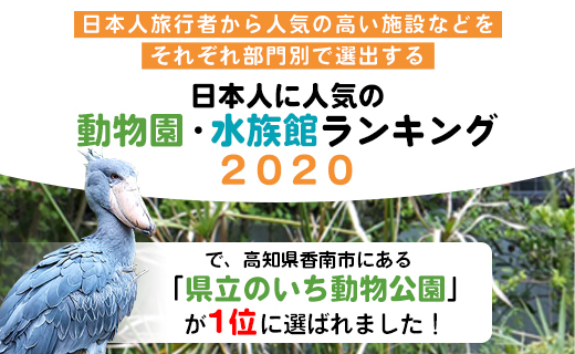 【返礼品なし】高知県立のいち動物公園 動物支援(飼料費支援) 100,000円 ni-0010
