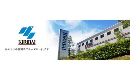 桐灰カイロ マグマセット 小林製薬 カイロ 詰め合わせ 貼る 貼らない 兵庫県 三田市 贈答品 中元 歳暮 お中元 お歳暮 新年 年末 贈り物 ギフト ふるさと納税 ふるさと 人気 おすすめ 送料無料
