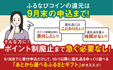 【あとから選べる】対馬市ふるさとギフト 10万円 分 《対馬市》 離島 コンシェルジュ 米 肉 魚介 海鮮 木工品 常温 冷蔵 冷凍[WZZ016]