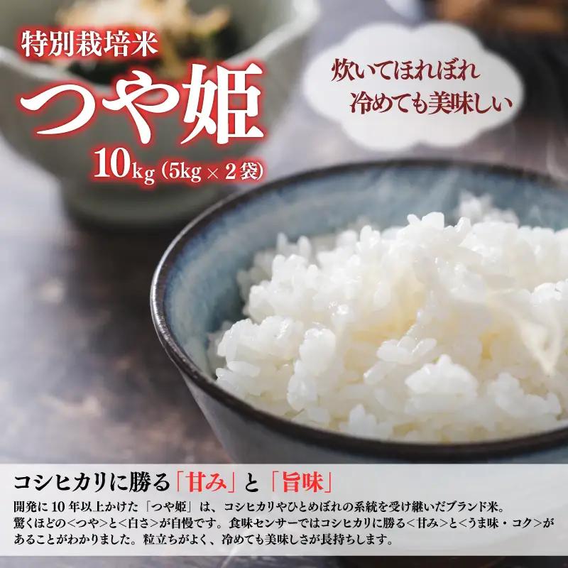 SB0972　10月中旬配送／令和8年産【精米】特別栽培米 つや姫 　10kg(5kg×2袋) 農家直送 HO