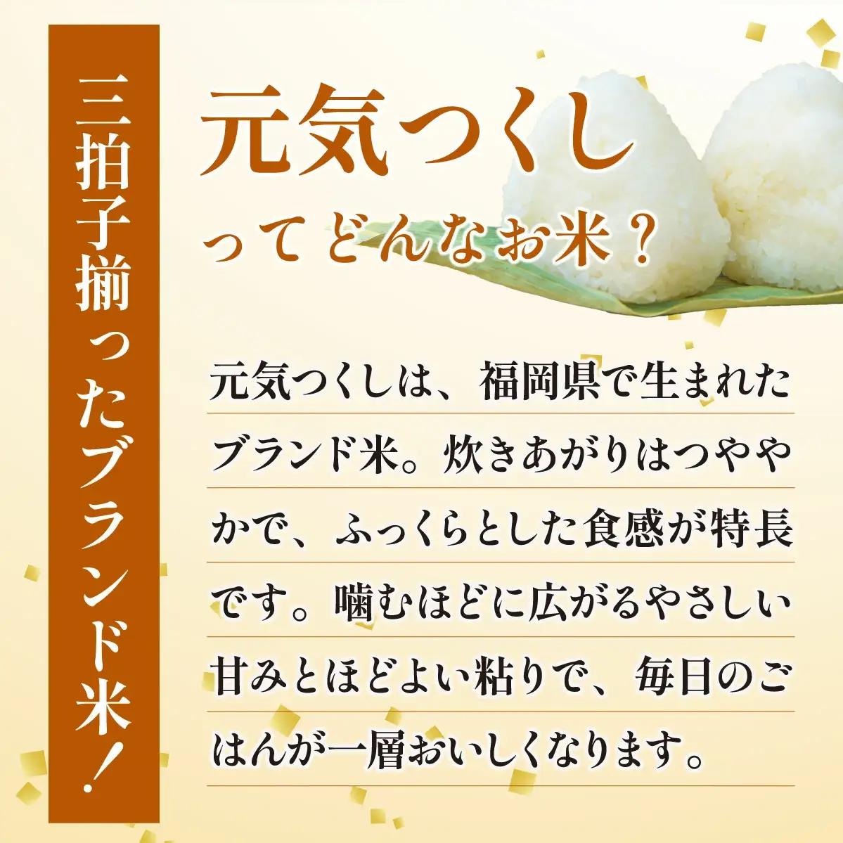 【定期便：３ケ月】令和７年産 福岡県産米 元気つくし 5kg 精米 CY011sub3