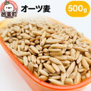 【ふるさと納税】オーツ麦 500g×1袋 サイトウ・コーポレーション 飼料