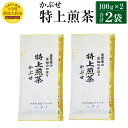 【ふるさと納税】特上煎茶 かぶせ 100g×2袋 200g 大分県産 お茶 日本茶 茶葉 セット エコファーマー認定農家 減農薬 減化学肥料栽培