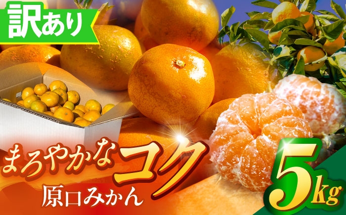 
                  訳あり 原口みかん 5kg 【11月中旬より発送】【おおたに農園】 [OBP002] / 訳ありみかん 5kg はらぐち 傷もの わけあり ミカン みかん 美味しい 訳ありみかん5kg 長崎県産 旬 美味しい ビタミン 長崎県川棚町 
                