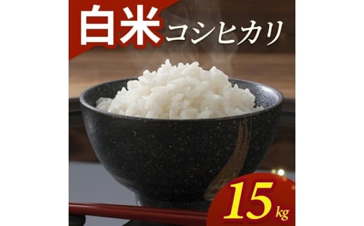 令和7年産【白米】コシヒカリ　15kg(5kg×3袋) YA SE0551
