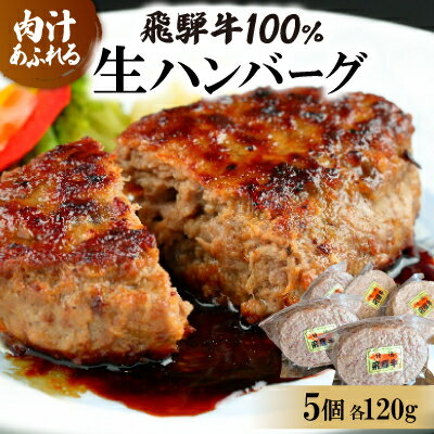 【ふるさと納税】飛騨牛100%生ハンバーグ　120g×5個【配送不可地域：離島】【1519624】