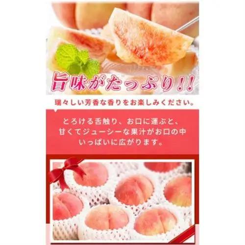 【2027年6月下旬頃順次発送予定】紀州和歌山産の桃　15玉　化粧箱入【配送不可地域：離島・北海道・沖縄県】【1421260】