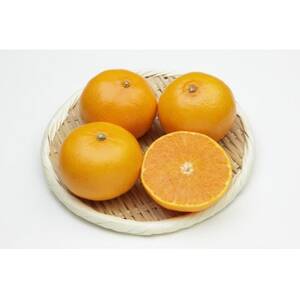 せとかジュース720ml×6本【F56-70】【1621278】