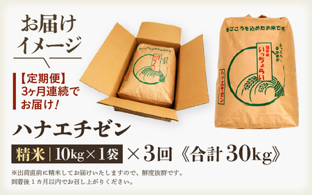 【先行予約】【令和7年産・新米】【一等米】＜定期便3回＞ ハナエチゼン 精米 10kg × 3回（30kg）《発送直前精米！》  ／ ブランド米 華越前 ご飯 お米 白米 新鮮 あわら市産 農家直送 
