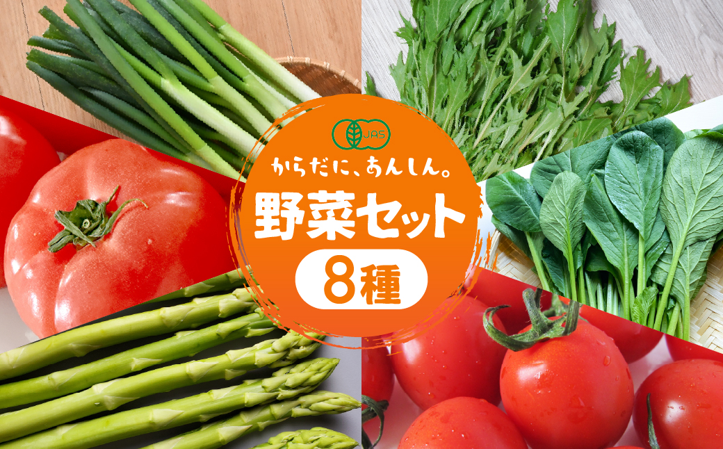 㓛農野菜8種類セット 8種 野菜 セット 有機栽培 ミニトマト アスパラ トマト ほうれん草 水菜 春菊 ネギ 小松菜 高糖度 新鮮 産地直送 季節の野菜 詰め合わせ やさい 自然 安心安全 旬 送料