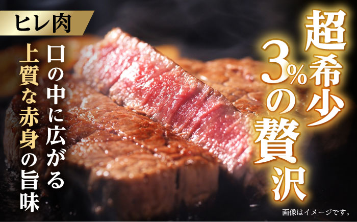 【3回定期便】【二大高級部位！】サーロイン と ヒレ ステーキ 計700g (各2枚) / 長崎和牛 A4～A5ランク 希少部位 / 諫早市 / 野中精肉店 [AHCW081]