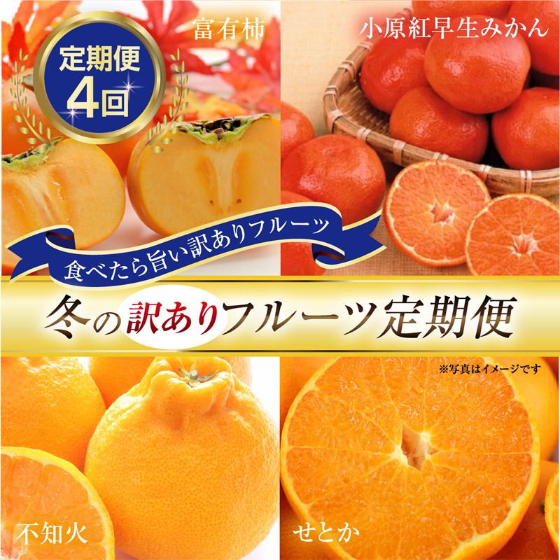 【ふるさと納税】【定期便全4回】訳あり さぬき市冬のフルーツ厳選定期便 柿 みかん 不知火【旬 人気 果物 くだもの フルーツ 規格外 香川県 】