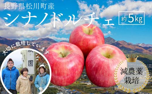 YN13-26A 【先行予約】りんご シナノドルチェ 約5kg 減農薬栽培 秀品／2026年9月中旬頃から配送予定 // りんご リンゴ 林檎 シナノドルチェ 減農薬栽培 農家直送 農家支援 長野県 松川町産