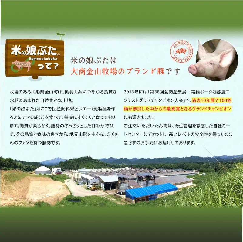 米の娘ぶたカレー 180g×6袋 豚肉 ブランド豚 高級 冷凍 レトルト 小分け 6食 お手軽 東北 山形 金山町 F4B-0823