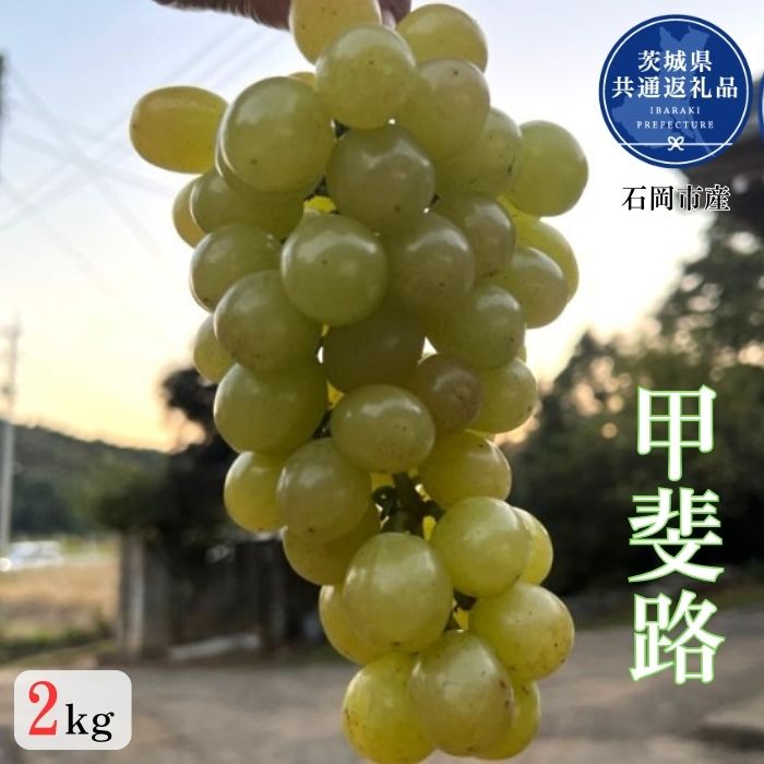 【ふるさと納税】開田ぶどう園　甲斐路　2kg（茨城県共通返礼品・石岡市産）