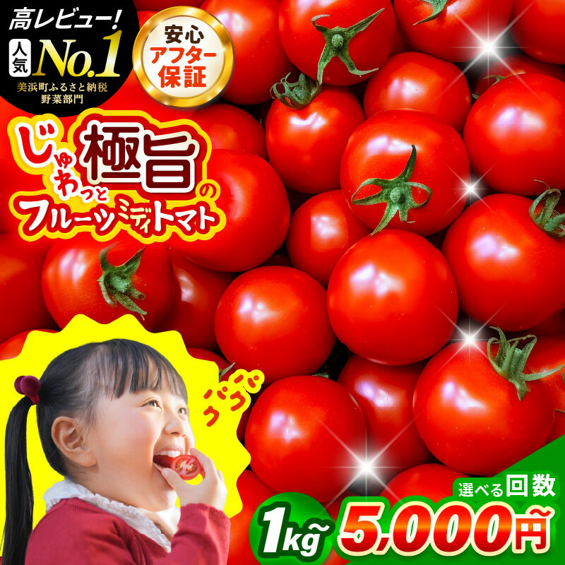 【ふるさと納税】野菜 じゅわっと極旨のフルーツミディトマト【選べる容量／回数】【 とまと トマト 新鮮野菜 やさい フルーツトマト ミニトマト トマトジュース サラダ 人気 新鮮 産地直送 甘い 高糖度 完熟 リコピン ビタミン ダイエット 美容 美肌 健康 食べやすい 】