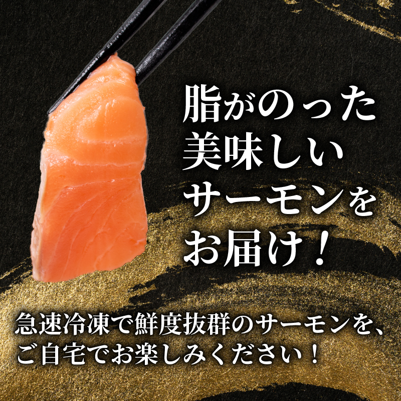 訳あり サーモンブロック 1㎏ 冷凍 唐戸仲卸協同組合 下関 山口
