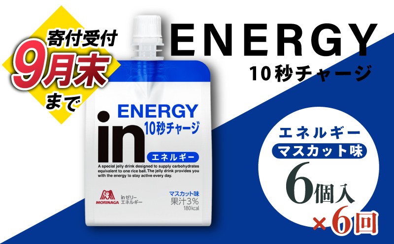 
                  定期便 6回 inゼリー エネルギー 6個入り マスカット味 インゼリー ゼリー飲料 180g×6個 森永製菓 栄養補給 10秒チャージ スポーツ エネルギー補給 アスリート 飲むゼリー 果汁 ビタミンC 小腹 栄養補助食品 非常食 常温 スポーツ時 三島市 静岡県
                