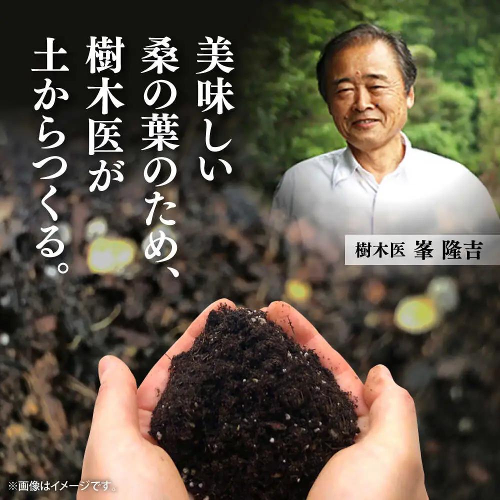 【全6回定期便】樹木医が育てた桑の葉茶（粉末）50g×1袋 お茶[AYBM022]
