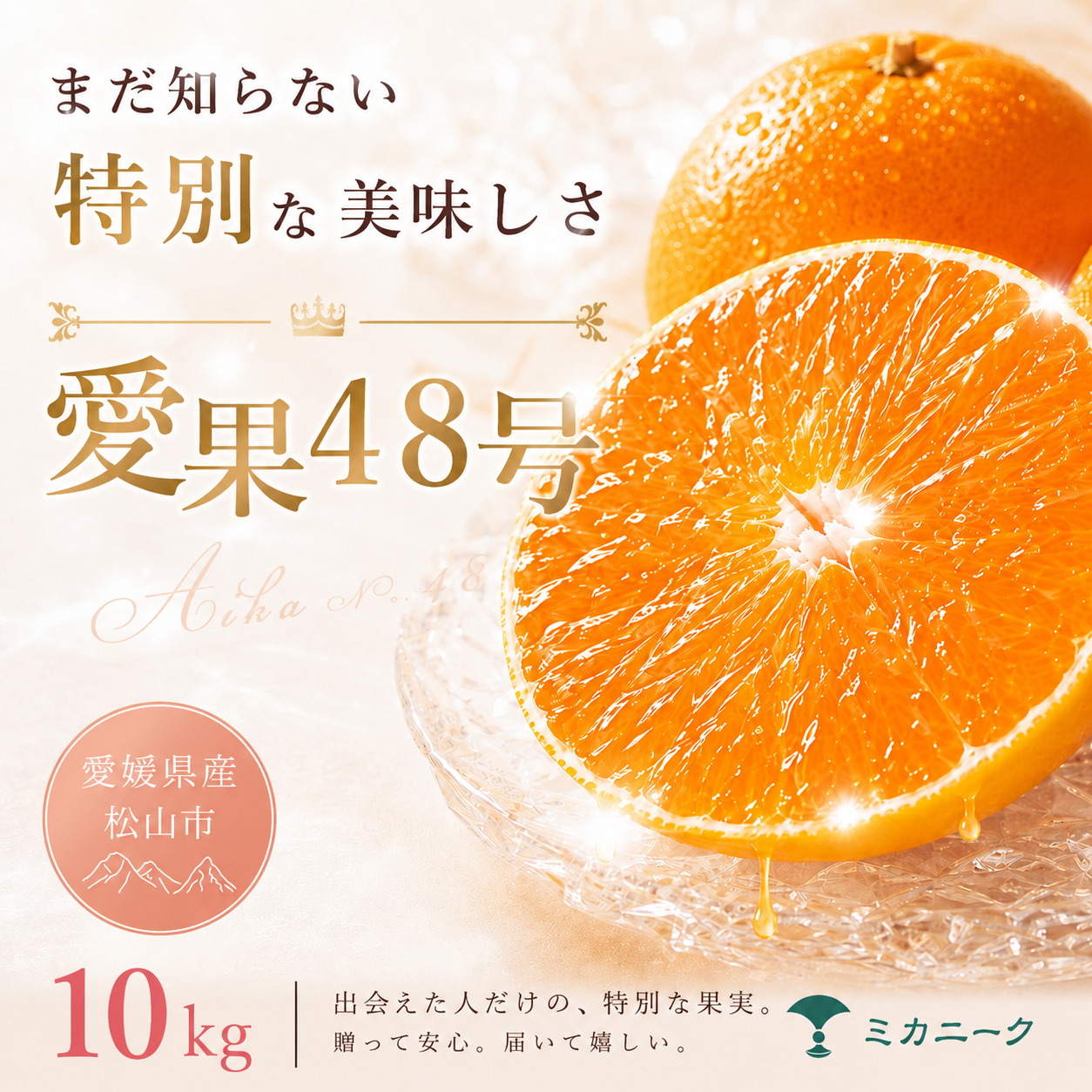 【知る人ぞ知る】 幻の新品種 【愛果48号】 10kg 愛媛県産 国産 【2027年2月下旬頃から順次発送】 | 日本 みかん 愛果48号 あいか 蜜柑 アイカ 柑橘 果物 愛媛のみかん くだもの 贈答 フルーツ ご家庭用 数量限定 愛媛県産 ミカン 愛媛県 松山市