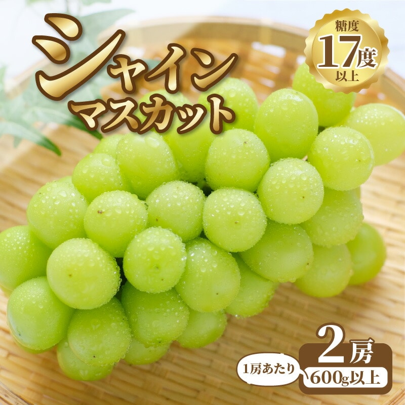 【ふるさと納税】【9月上旬より発送】シャインマスカット2房【600g以上】【糖度17度以上】