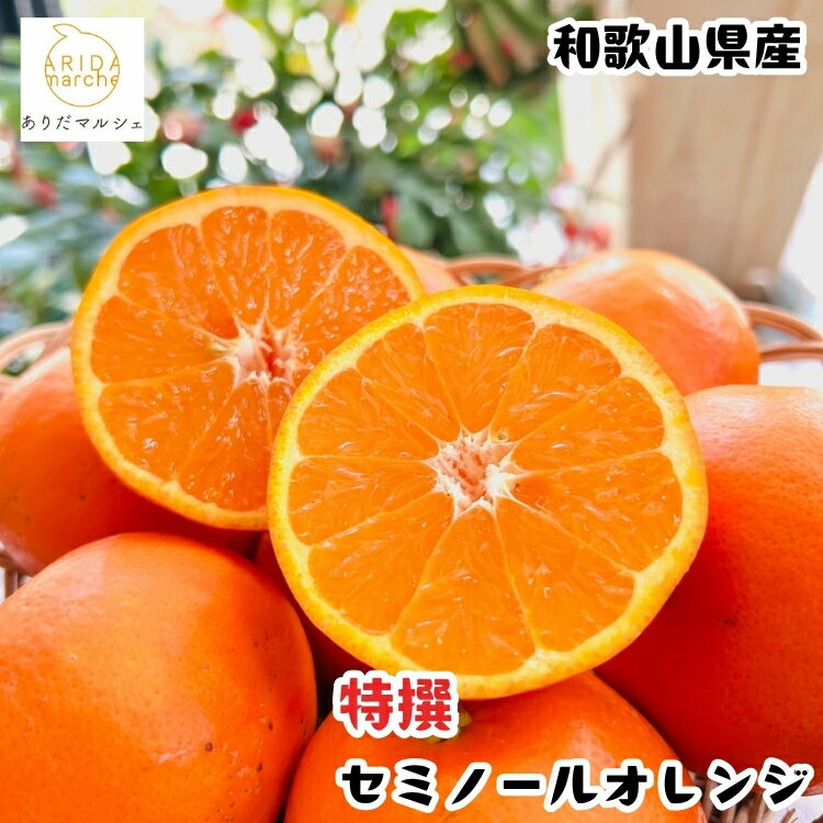 【ふるさと納税】【選べる内容量】【特撰】セミノール ｜ みかん 高級 くだもの 晩柑 柑橘 和歌山