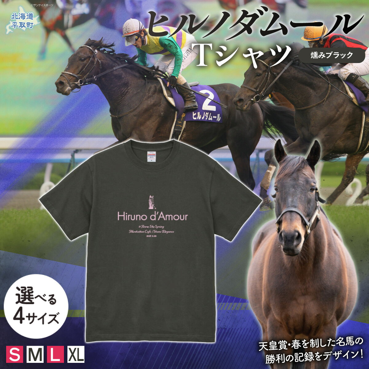 【ふるさと納税】【ヒルノダムール】（燻みブラック）Tシャツ 選べる4サイズ【S・M・L・XL】【ふるさと納税 人気 おすすめ ランキング 馬 競馬 競走馬 引退馬 ヒルノダムール Tシャツ シャツ 服 生活 日高 北海道 平取町 送料無料】 BRTV300-v